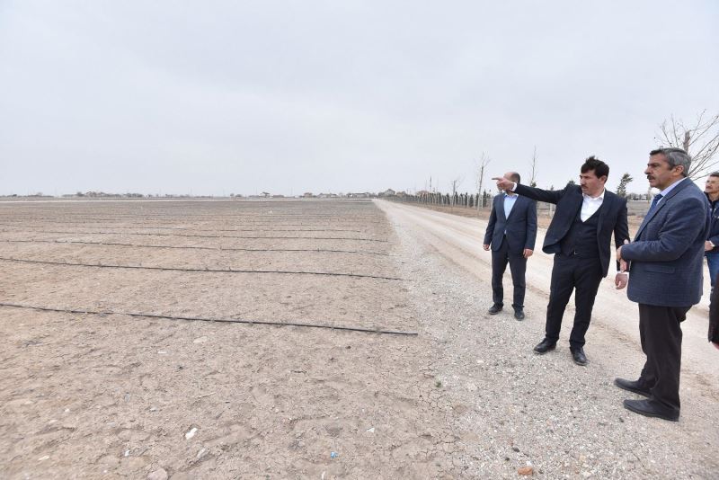 KARATAY’DAKİ LAVANTA BAHÇELERİ 400 BİN METREKARE BÜYÜKLÜĞE ULAŞTI