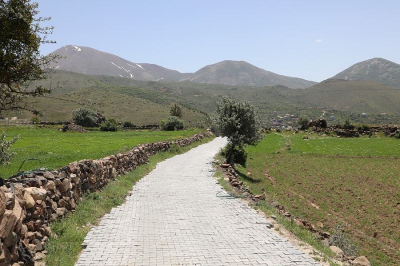 İlçemize bağlı Çardaklı mahallesi Mezarlık yolu parke çalışması ekiplerimizce yapılmıştır. Daha güzel İNCESU için çalışıyoruz... Av. Mustafa İLMEK İncesu Belediye Başkanı