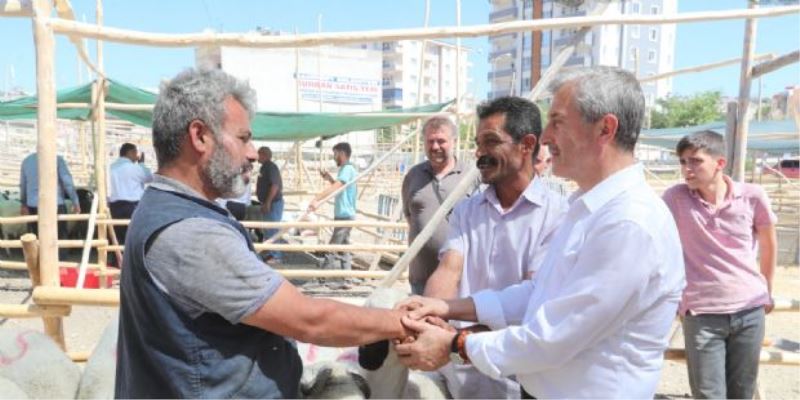 Şahinbey´de Kurban Satış Ve Kesim Yerleri Belirlendi