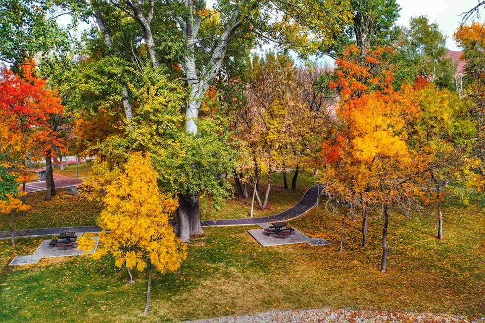 MİLLET BAHÇELERİ SONBAHAR RENKLERİYLE GÖRSEL ŞÖLEN SUNUYOR