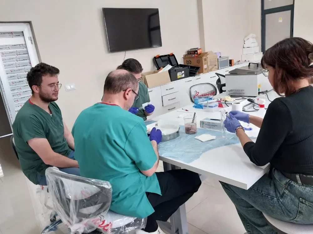 Aksaray Üniversitesi’nden genetik devrim: Süt alerjenini taşımayan buzağılar doğdu