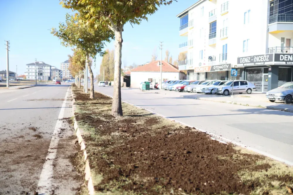 Doğayla uyumlu, düzenli ve bakımlı bir çevre; huzurun ve güzelliğin en büyük tamamlayıcısıdır