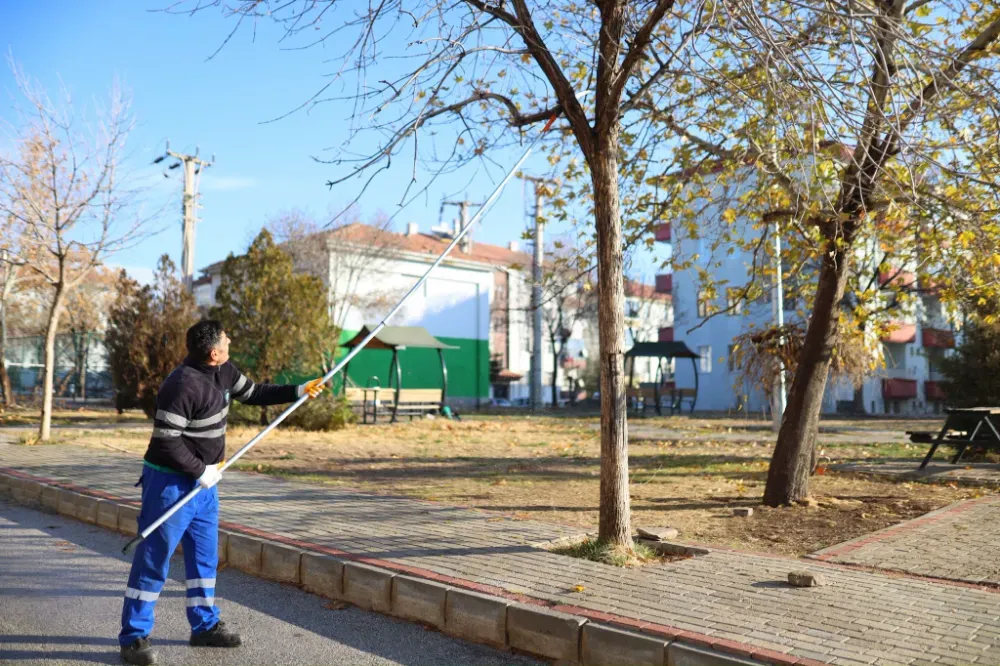 Şehrimizin nefes alanları daha sağlıklı büyüsün diye